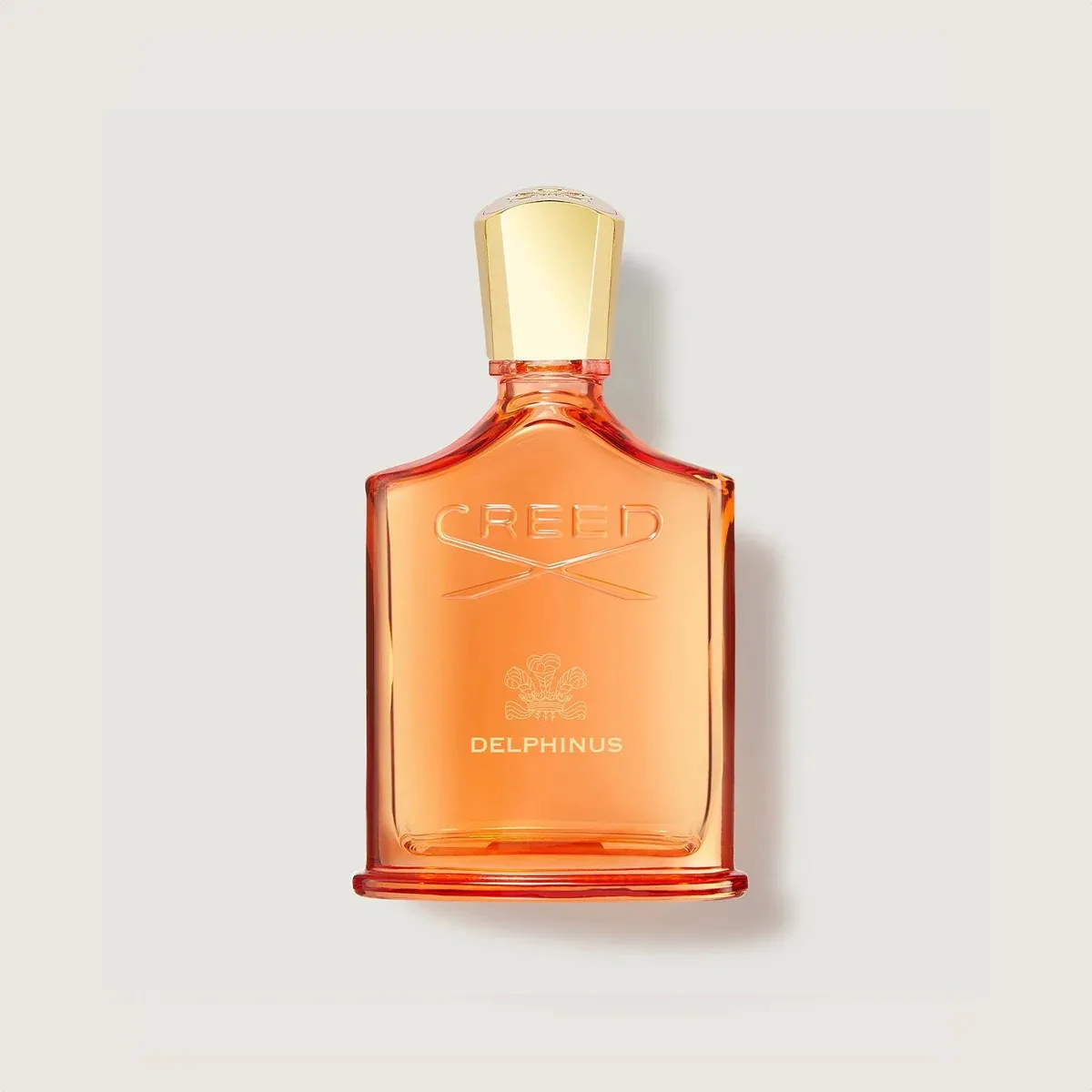 Delphinus Amber Perfume for Men Women Luxury Summer Night Fragrance Long Lasting Woody Iris EDP Mother’s Day Graduation Gift