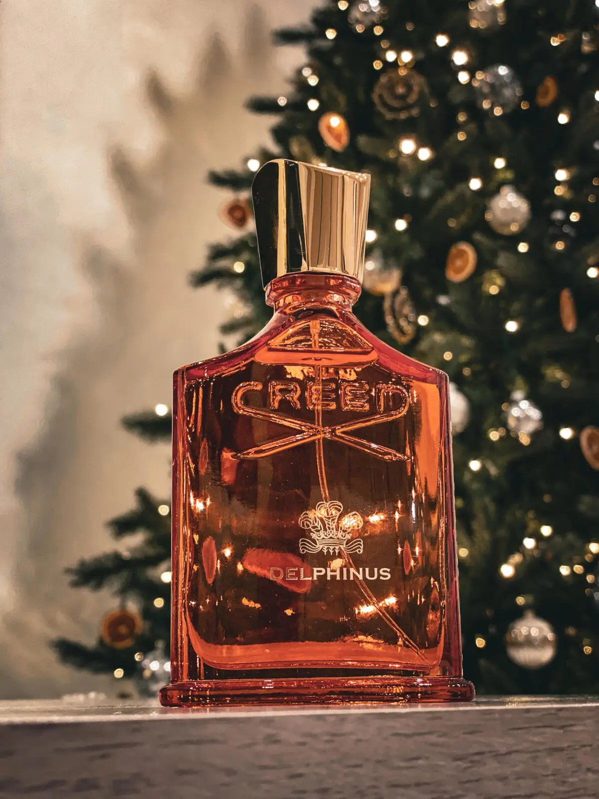 Delphinus Amber Perfume for Men Women Luxury Summer Night Fragrance Long Lasting Woody Iris EDP Mother’s Day Graduation Gift