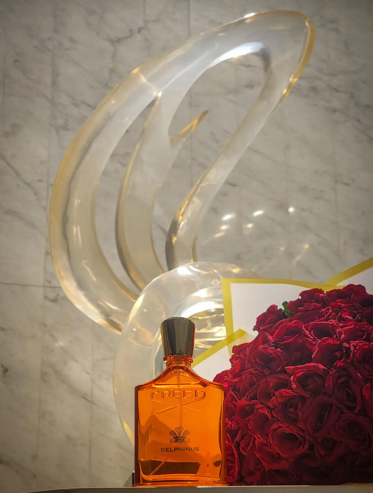 Delphinus Amber Perfume for Men Women Luxury Summer Night Fragrance Long Lasting Woody Iris EDP Mother’s Day Graduation Gift