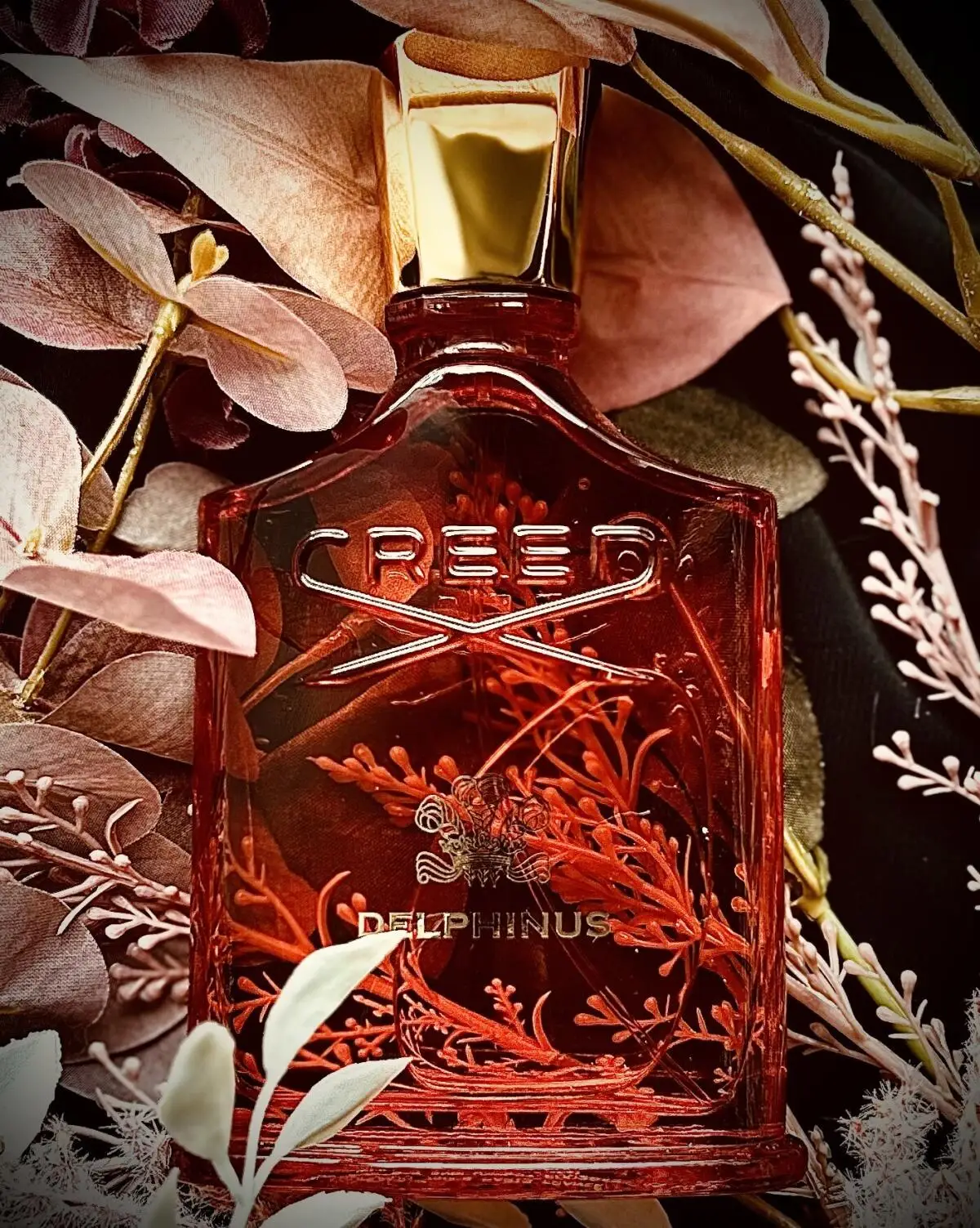 Delphinus Amber Perfume for Men Women Luxury Summer Night Fragrance Long Lasting Woody Iris EDP Mother’s Day Graduation Gift