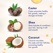 3 x Organic Castor and Shea Enriched Coconut Hair Oil For Men and Women - 100ml