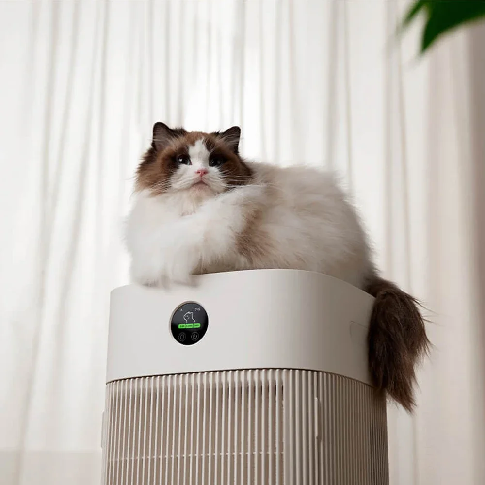 Cats Hair Fast Absorb Dogs Hair And Eliminate Odor Eliminators For  Smart Pets Care Air Purifier For Home Allergies